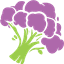 Broccoli Logo